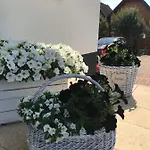 Frajdaa *