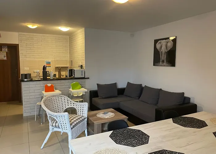 Frajdaa Проживание в семье Нехоже